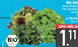 E center Donauwörth - Bio-Salat Angebot im Prospekt Bio-Salat bei E center im Donauwörth Prospekt für 1,11 €