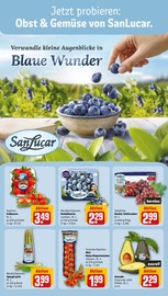 Ähnliche Terrarium Angebote im Prospekt "Dein Markt" von REWE in Karlsruhe Ähnliche Angebote wie Terrarium im Prospekt "Dein Markt" auf Seite 10 von REWE in Karlsruhe