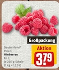 nahkauf Maintal - Himbeeren Angebot im Prospekt Himbeeren bei nahkauf im Maintal Prospekt für 3,79 €