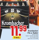 Pils o. Radler bei Trinkgut im Dorsten Prospekt für 11,99 €