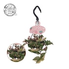 Promo Plantes vertes à 5,99 € dans le catalogue Gamm vert à Montbazens