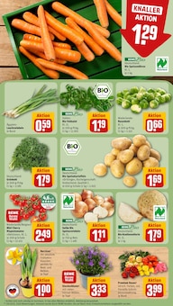 Staubsauger im REWE Prospekt "Dein Markt" mit 20 Seiten (Mainz)