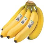 Bio Bananen im aktuellen Prospekt bei REWE in Teising