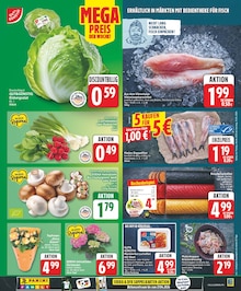 Edeka Pflanzen Angebot  Finde den Preis im aktuellen Prospekt