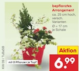 bepflanztes Arrangement im aktuellen Netto Marken-Discount Prospekt für 6,99 €