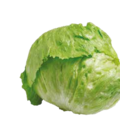 Eisbergsalat für 0,99 € bei Netto mit dem Scottie im Angebot Eisbergsalat im aktuellen Netto mit dem Scottie Prospekt