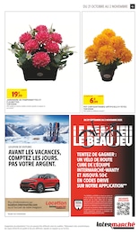 Prix et réduction Plante Vivace dans le prospectus Intermarché Hyper en cours Offre Plante Vivace dans le catalogue Intermarché Hyper du moment à la page 43