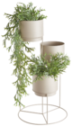 PFLANZTOPF im Angebot bei XXXLutz Möbelhäuser in Hennef PFLANZTOPF Angebote von Ambia Home bei XXXLutz Möbelhäuser Hennef für 29,99 €