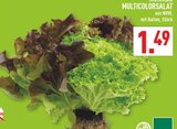 Aktuelle Salat Angebote bei Marktkauf in Bochum Aktuelles Multicolorsalat Angebot bei Marktkauf in Bochum ab 1,49 €