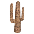 Cactus Hacienda jacinthe en promo chez Maxi Bazar Tourcoing à 9,99 €