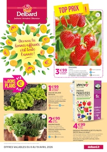 Catalogue Delbard à Marseille cette semaine, valable du 08/04/2026 au 19/04/2026 Prospectus Delbard à Marseille, "Chez nous, les bonnes affaires c'est toute l'année !", 8 pages de promos valables du 08/04/2026 au 19/04/2026