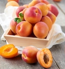 Promo Abricot à 3,29 € dans le catalogue Carrefour Market à Plœuc-sur-Lié