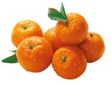 Bio Mandarinen von REWE Bio im aktuellen REWE Prospekt