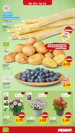 Aktueller Penny Prospekt mit Kartoffeln, "Wer günstig will, muss Penny.", Seite 3