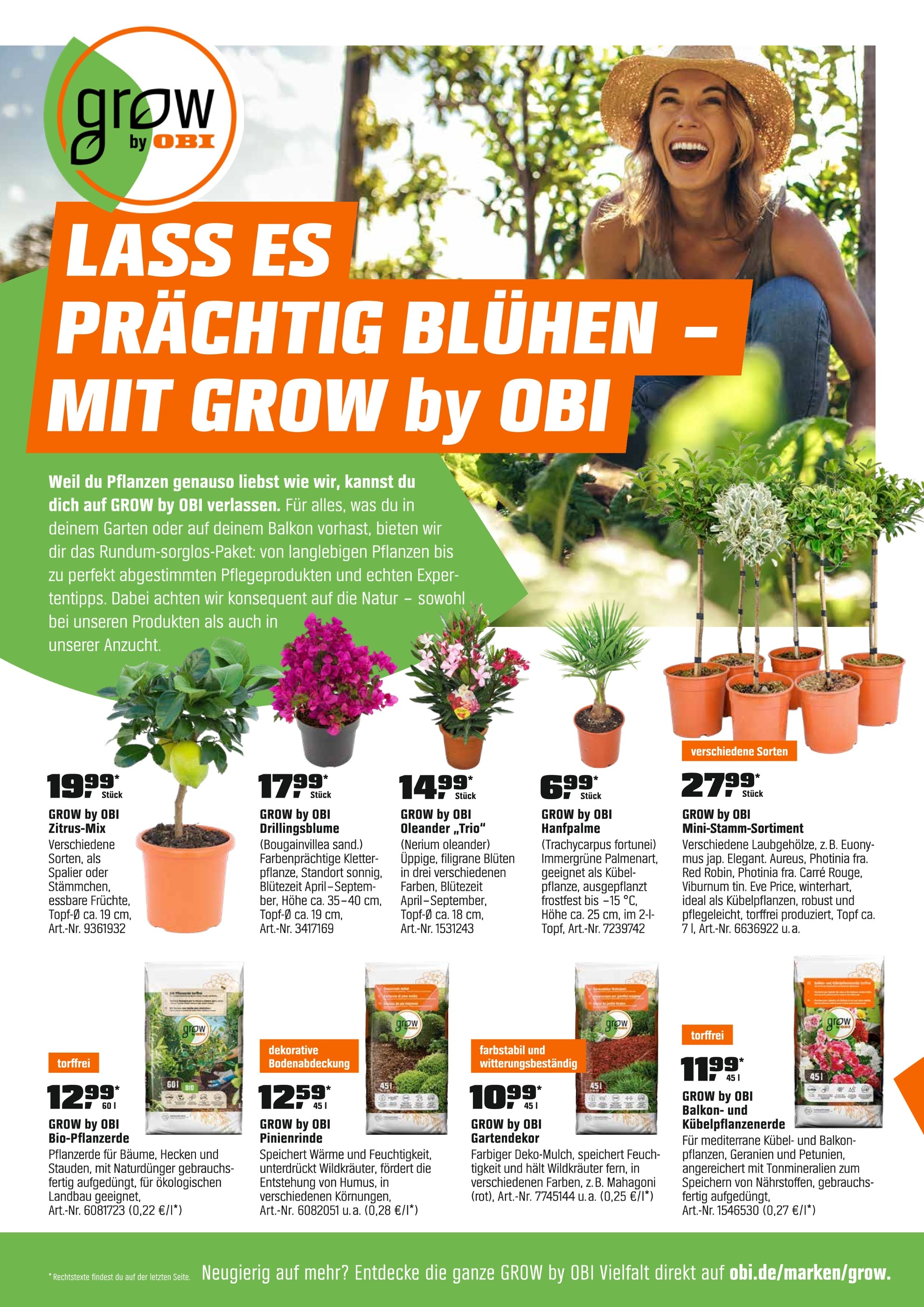 OBI Zitronenbaum Angebot  Finde den Preis im aktuellen Prospekt
