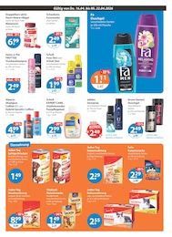 V-Markt Katzenfutter im Prospekt V-Markt Katzenfutter im Prospekt