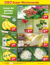 Aktueller Netto Marken-Discount Prospekt mit Blumen, "Aktuelle Angebote", Seite 51