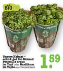Aktuelles Bio Bioland Petersilie kraus im Topf Angebot bei E center in Mannheim ab 1,59 €