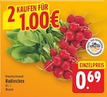 Radieschen im aktuellen E center Prospekt