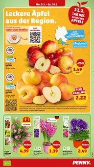 Blumen im Penny Prospekt "Wer günstig will, muss Penny." mit 42 Seiten (Heidelberg)