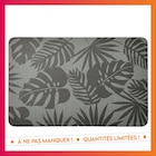 Promo Tapis diatomite 39x60 feuillage à 7,00 € dans le catalogue B&M à Argenteuil