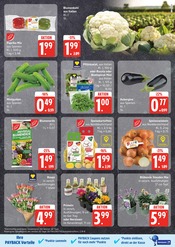 Aktueller EDEKA Prospekt mit Gartenerde, "Top Angebote", Seite 7