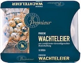 Frische Wachteleier Angebote von Premieur bei Netto mit dem Scottie Stendal für 2,49 €