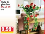 Chute de géranium - Norma à Metz Chute de géranium en promo chez Norma Metz à 9,99 €