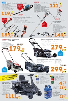 Pflanzen Angebot im aktuellen Globus-Baumarkt Prospekt auf Seite 7