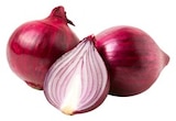 Rote Bio Speisezwiebeln von REWE Bio für 0,99 € bei REWE im Angebot Rote Bio Speisezwiebeln von REWE Bio im aktuellen REWE Prospekt