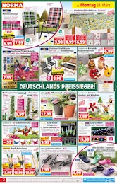 Feuerwerk Angebot im aktuellen Norma Prospekt auf Seite 2