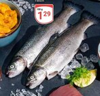 Frische Forelle Angebote bei GLOBUS Erlangen für 1,29 €