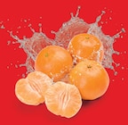 Netto Marken-Discount - Clementinen Angebot im Prospekt Clementinen bei Netto Marken-Discount im Prospekt "" für 1,89 €