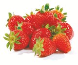 Erdbeeren Angebote bei Netto mit dem Scottie Dessau-Roßlau für 1,89 €