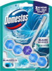 WC Stein Power 5 Blauspüler von Domestos im aktuellen budni Prospekt