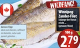 Winnipeg-Zander-Filet bei famila Nordost im Prospekt "" für 2,79 €