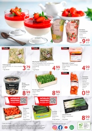 Rucola Angebot & Preis im aktuellen Selgros Prospekt Rucola Angebot im aktuellen Selgros Prospekt auf Seite 32