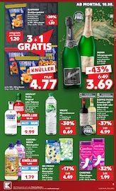 Katzenfutter im Kaufland Prospekt in Trier Aktueller Kaufland Prospekt mit Katzenfutter, "Hier bin ich richtig", Seite 5