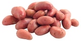 Rote Bio Speisekartoffeln im Angebot bei REWE in Ingolstadt Rote Bio Speisekartoffeln Angebote von REWE Bio bei REWE Ingolstadt für 1,99 €