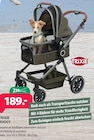 Buggy bei Kiebitzmarkt im Prospekt "" für 189,00 €