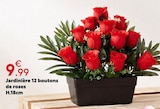 Jardinière 12 boutons de roses - Maxi Bazar à Antony Jardinière 12 boutons de roses en promo chez Maxi Bazar Antony à 9,99 €