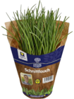 Bioland-Petersilie kraus im Angebot bei EDEKA in Hofheim Bioland-Petersilie kraus Angebote von Unsere Heimat Bio bei EDEKA Hofheim für 1,59 €