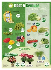 Aktueller V-Markt Prospekt mit Tierfutter, "V-Markt einfach besser einkaufen", Seite 4