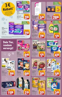 Toilettenpapier im REWE Prospekt "Dein Markt" mit 36 Seiten (Frankfurt (Main))