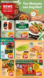 REWE Supermarkt Prospekt der aktuellen Woche mit 28 Seiten, gültig von 08.06.2026 bis 13.06.2026, in Schneverdingen und Umgebung Aktueller REWE Supermarkt Prospekt in Schneverdingen und Umgebung, "Dein Markt" mit 28 Seiten, 08.06.2026 - 13.06.2026