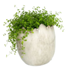 Aktuelles Ei Angebot bei Thomas Philipps in Hildesheim ab 1,49 €