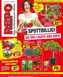 Repo Prospekt der Woche "Aktuelle Angebote" Seite 1, 05.05.2025 bis 10.05.2025 für Forst Aktueller Repo Prospekt "Aktuelle Angebote" Seite 1 von 20 Seiten für Forst