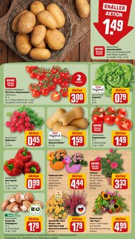 Kürbis im aktuellen REWE Prospekt (Frankfurt (Main)) Kürbis im REWE Prospekt "Dein Markt" mit 24 Seiten (Frankfurt (Main))