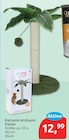 Katzenkratzbaum Palme für 12,99 € bei budni im Angebot Katzenkratzbaum Palme im aktuellen budni Prospekt