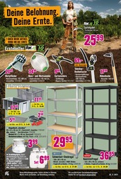 Teleskop Angebote im Prospekt "Dir ist vieles Latte. Nur nicht Dein Garten." von Hornbach Teleskop Angebote im Prospekt "Dir ist vieles Latte. Nur nicht Dein Garten." von Hornbach auf Seite 16